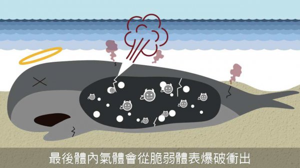人死后的身体变化过程