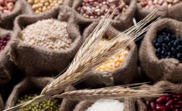 种五谷尝百草的是谁