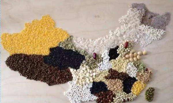 种五谷尝百草的是谁