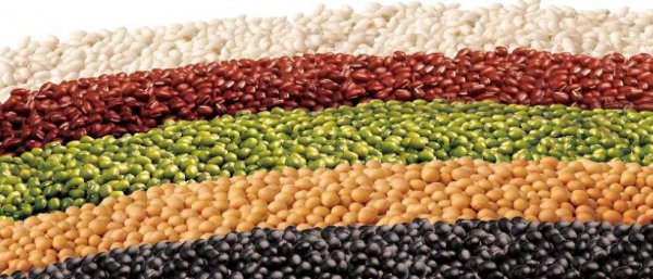 种五谷尝百草的是谁