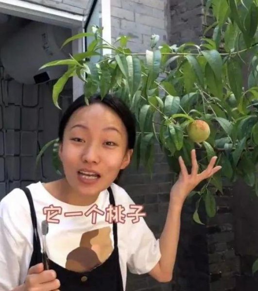 邵雨轩是哪里人