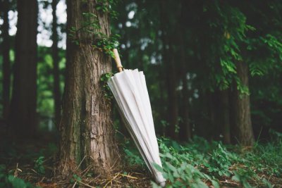 日暮汉宫传蜡烛是什么节日 日暮汉宫传蜡烛与什么有关