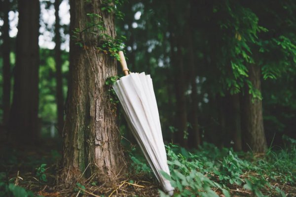 日暮汉宫传蜡烛是什么节日