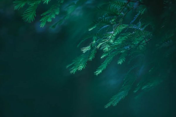 日暮汉宫传蜡烛是什么节日