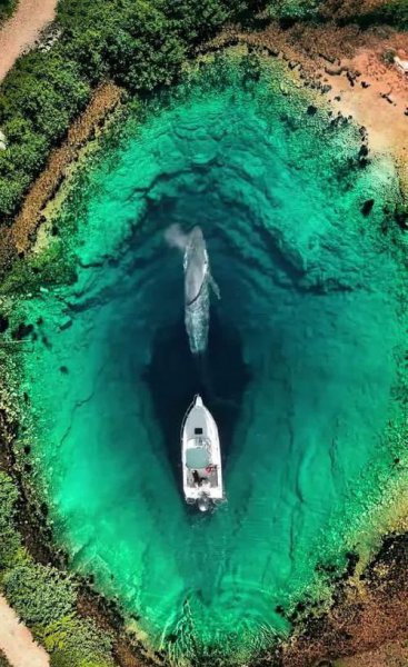 克罗地亚人均gdp多少美元