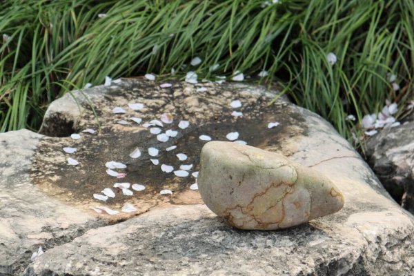 包公审石头的故事概括