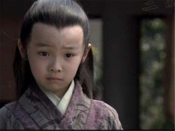 谁灭了三国统一了天下