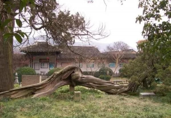 吴县市是现在苏州的哪个地方