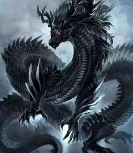 沙僧代表什么生肖