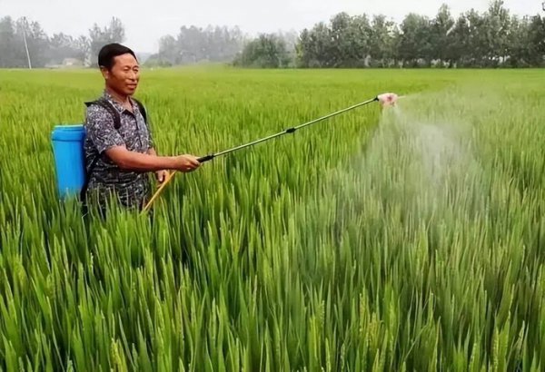 中国步入发达国家要多久