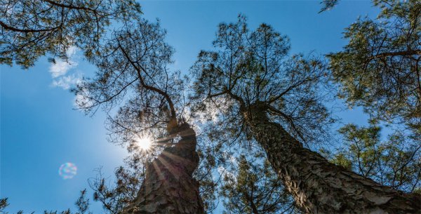重庆旅游攻略导游推荐