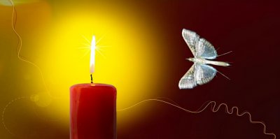 飞蛾扑火的寓言故事 飞蛾扑火告诉我们什么深刻道理含义