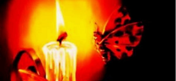 飞蛾扑火的寓言故事