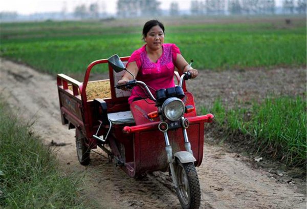 古话说的过墙妻指什么意思