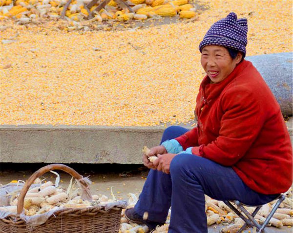 古话说的过墙妻指什么意思