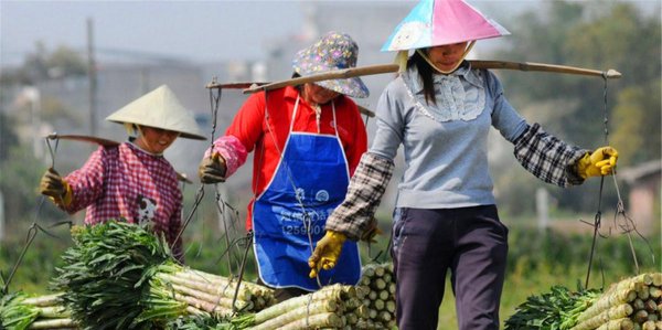 古话说的过墙妻指什么意思