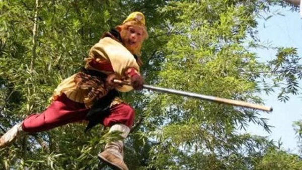 孙悟空的品质是什么