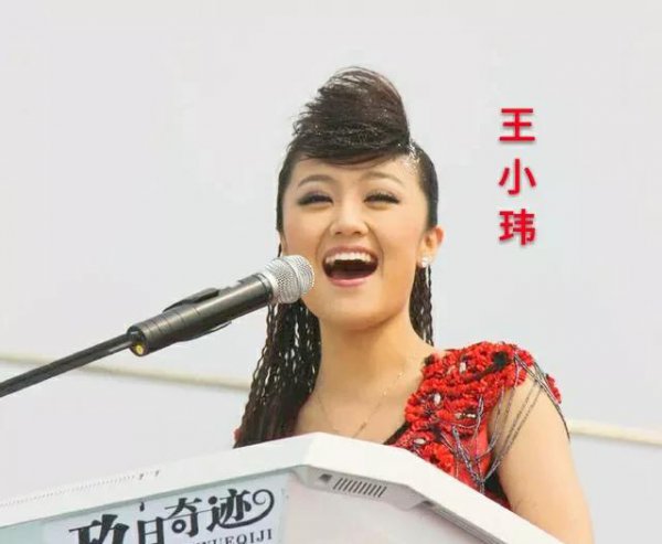 王小玮的个人资料简介