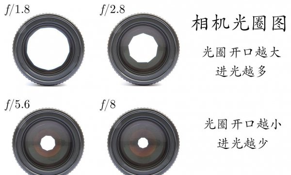 相机的m档是什么意思