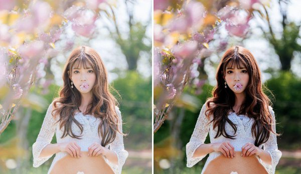 相机的m档是什么意思