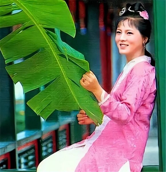 红楼梦袭人嫁给了谁