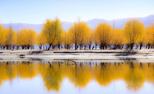 世界河流流量排名前十