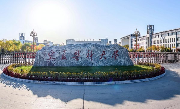 二本医学院校有哪些大学排名