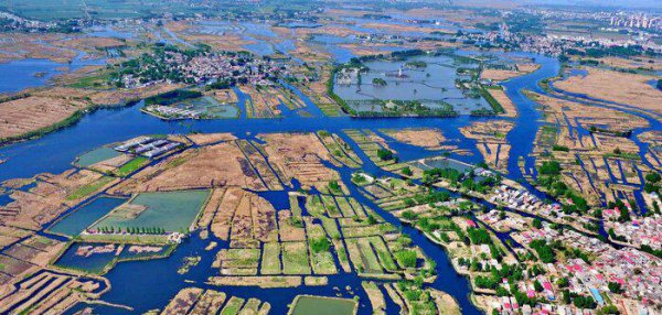 19个国家级新区有哪些