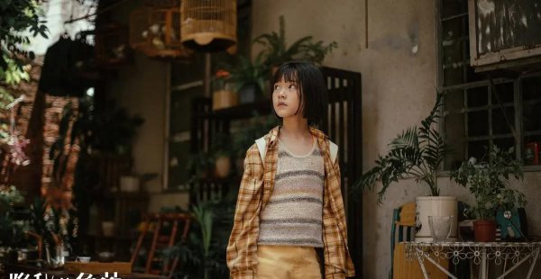 好评电视剧排行榜前十名