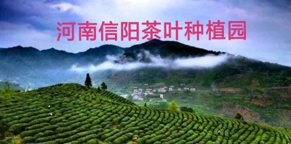 河南属于南方还是北方