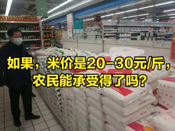 粮价大涨马上就要来了吗