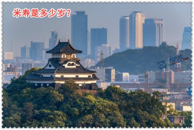 米寿是多少岁的生日 米寿是多少岁老人生日的雅称