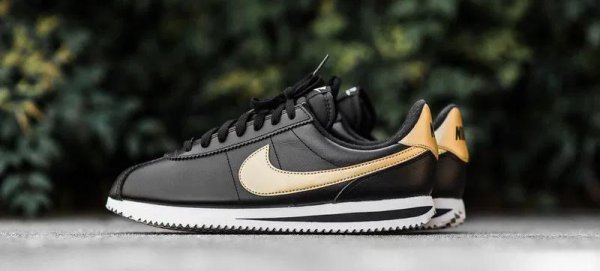 飞马是什么品牌的鞋子