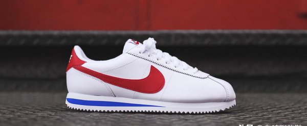 飞马是什么品牌的鞋子