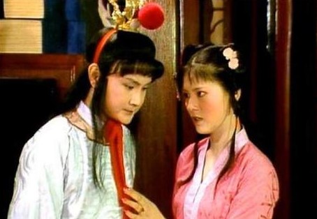 袭人和贾宝玉什么关系