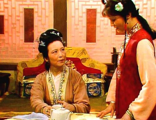 袭人和贾宝玉什么关系