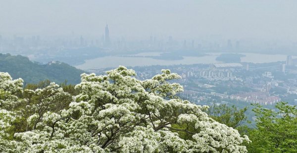 广东省紫金县属于哪个市管辖