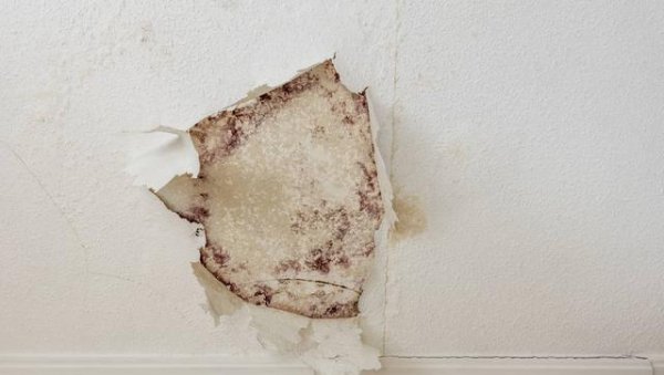 买房买西户有什么缺点