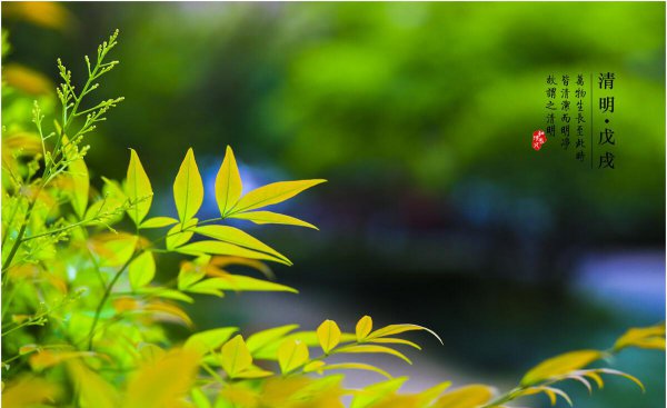 中国四大传统节日有哪些