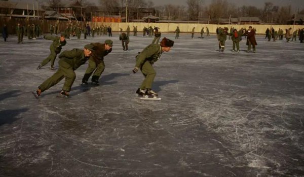 一代枭雄杜崽杜云波简介