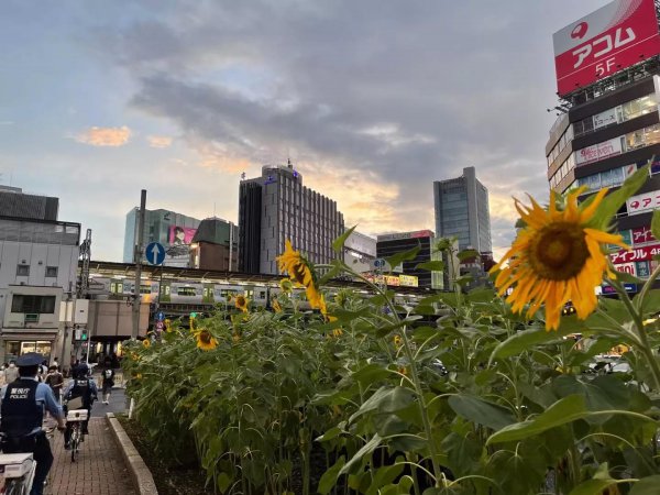 男人如何提升自己的价值