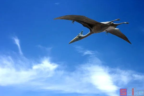 世界上十大著名恐龙排行榜