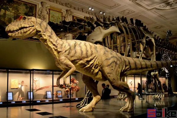 世界上十大著名恐龙排行榜