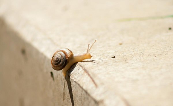 戒烟10天复吸一支等于没戒吗