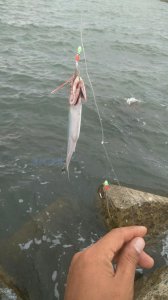 钓翘嘴用什么钩最好 讲解钓翘嘴搭配鱼钩和鱼竿的技巧