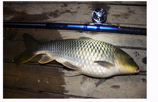 前打竿怎么用使用方法说明