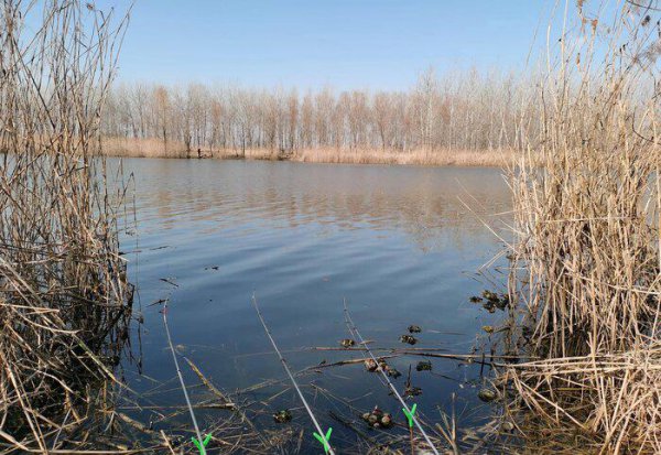 矶竿几米最好实用性最强