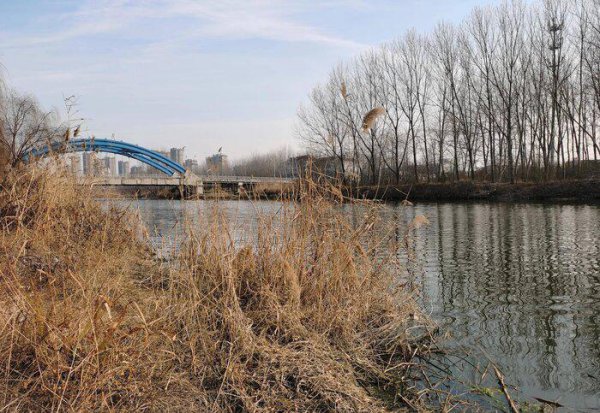 矶竿几米最好实用性最强