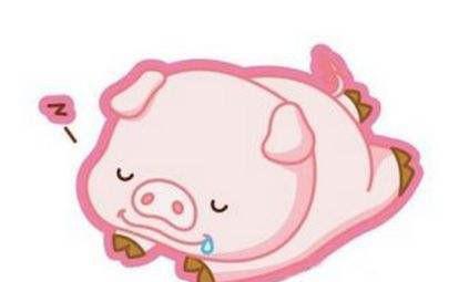 十二生肖亥猪是什么意思