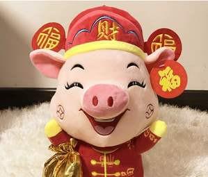 十二生肖亥猪是什么意思